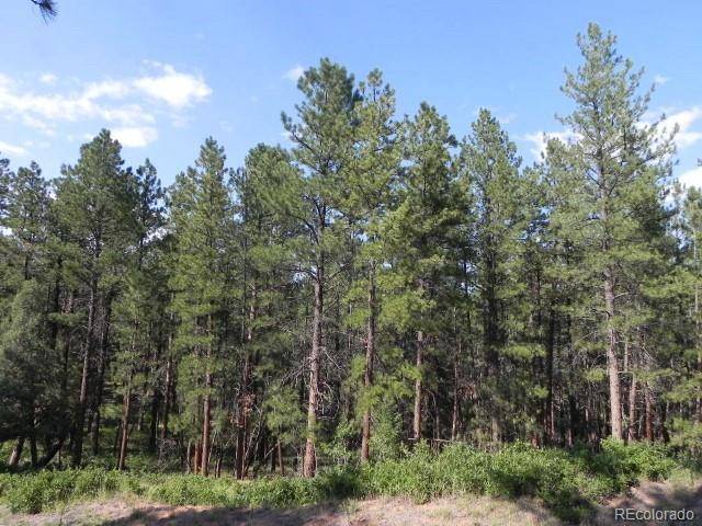 Larkspur, CO 80118,4415 Elati RD