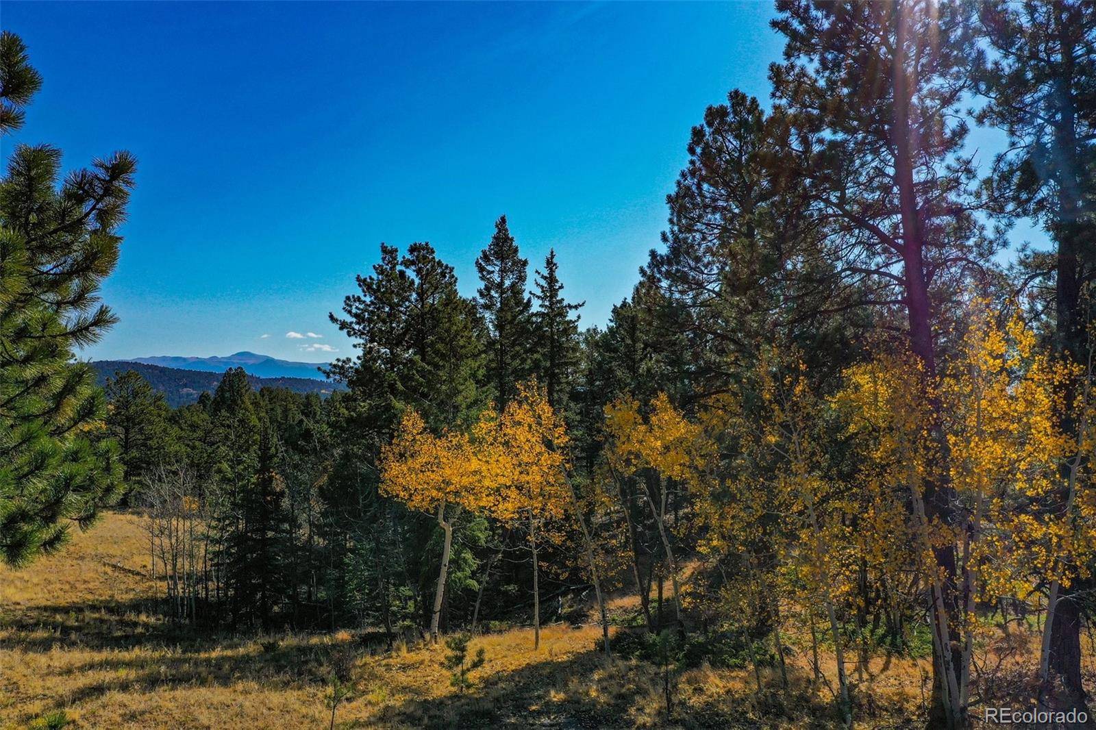 Florissant, CO 80816,256 Powderhorn LN