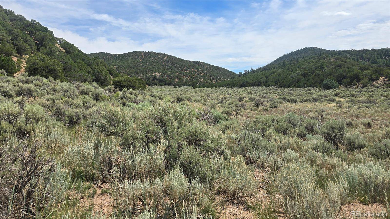 Fort Garland, CO 81133,Lot 4435 Beekman RD