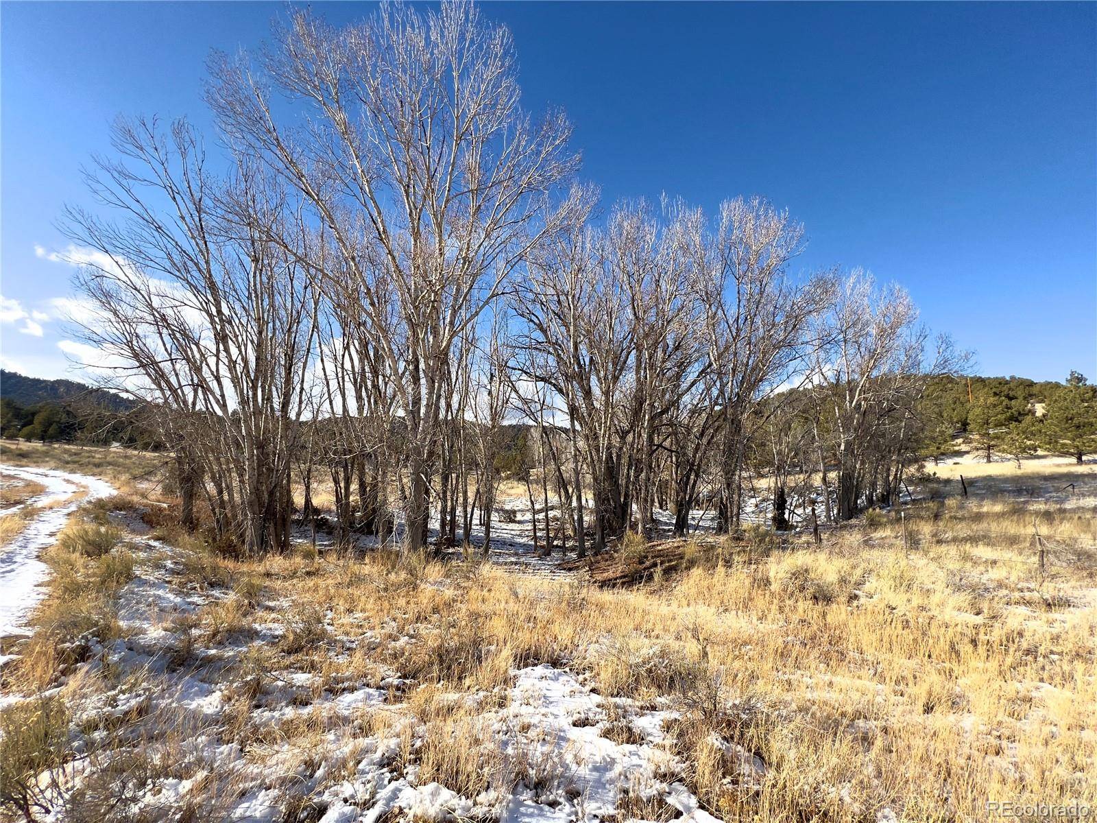 Westcliffe, CO 81252,9091 CO RD 271