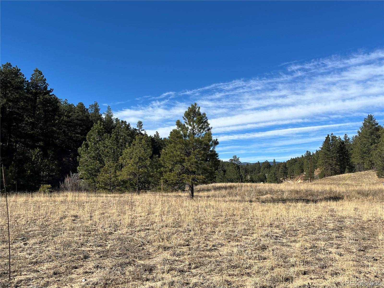 Weston, CO 81091,San Pablo Canyon Lot 6