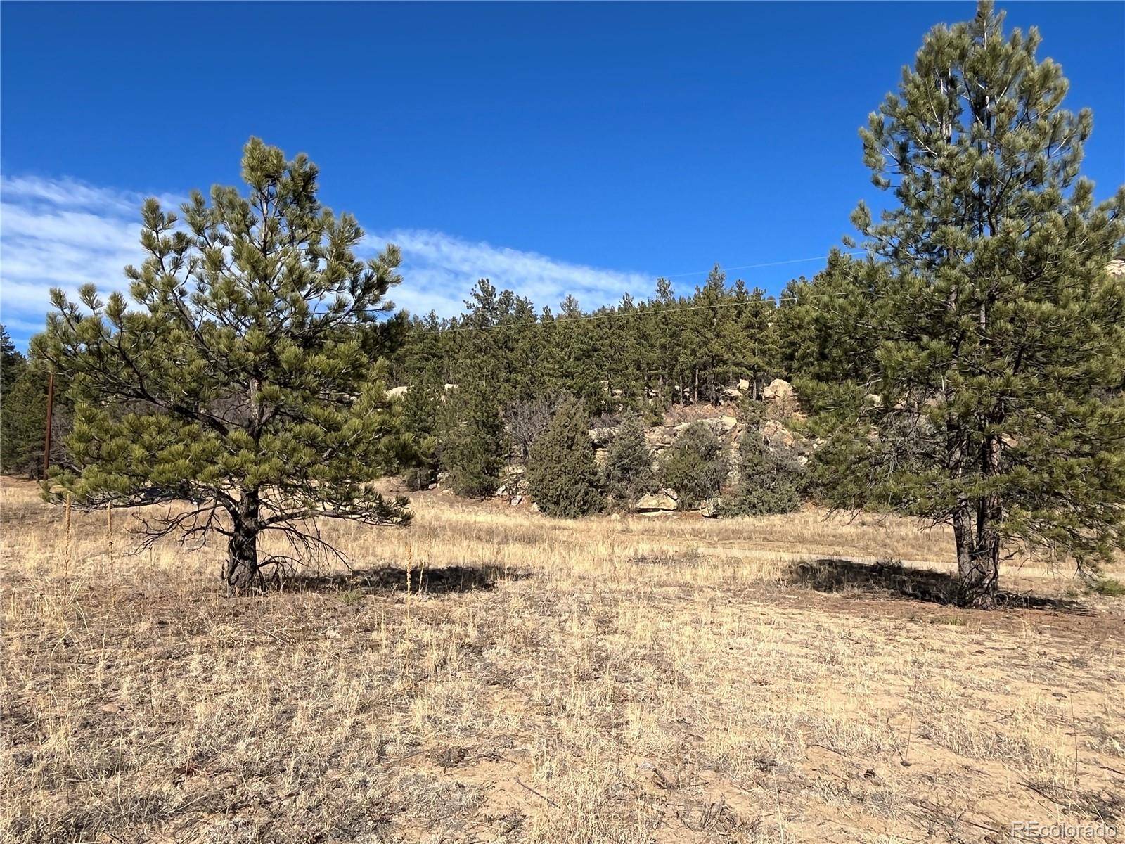 Weston, CO 81091,San Pablo Canyon Lot 6