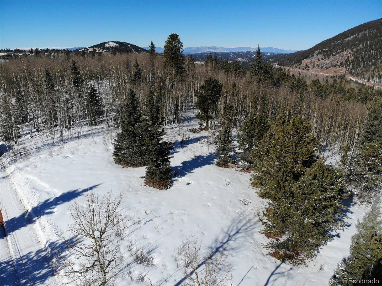 Divide, CO 80813,Castle Ridge VW