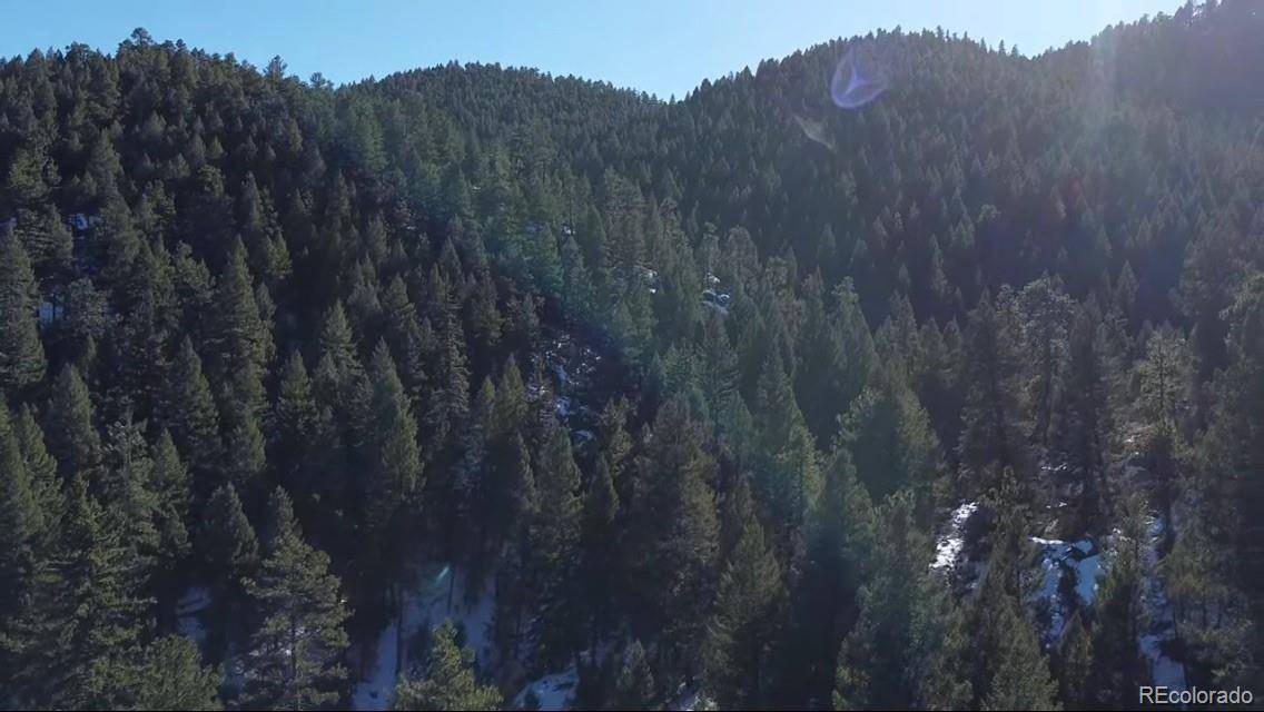 Indian Hills, CO 80454,5423 Giant Gulch RD