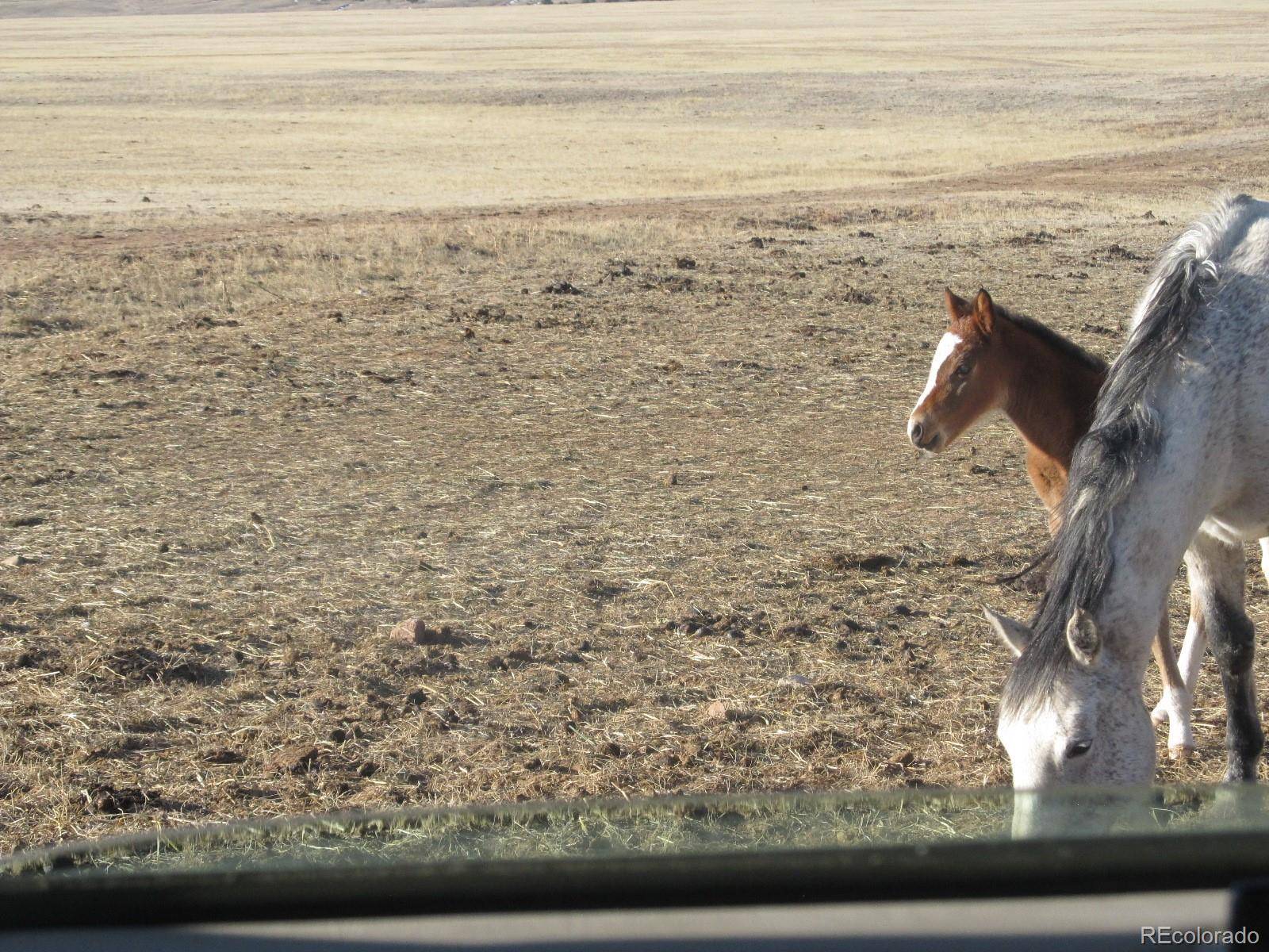 Hartsel, CO 80449,0 Anasazi RD