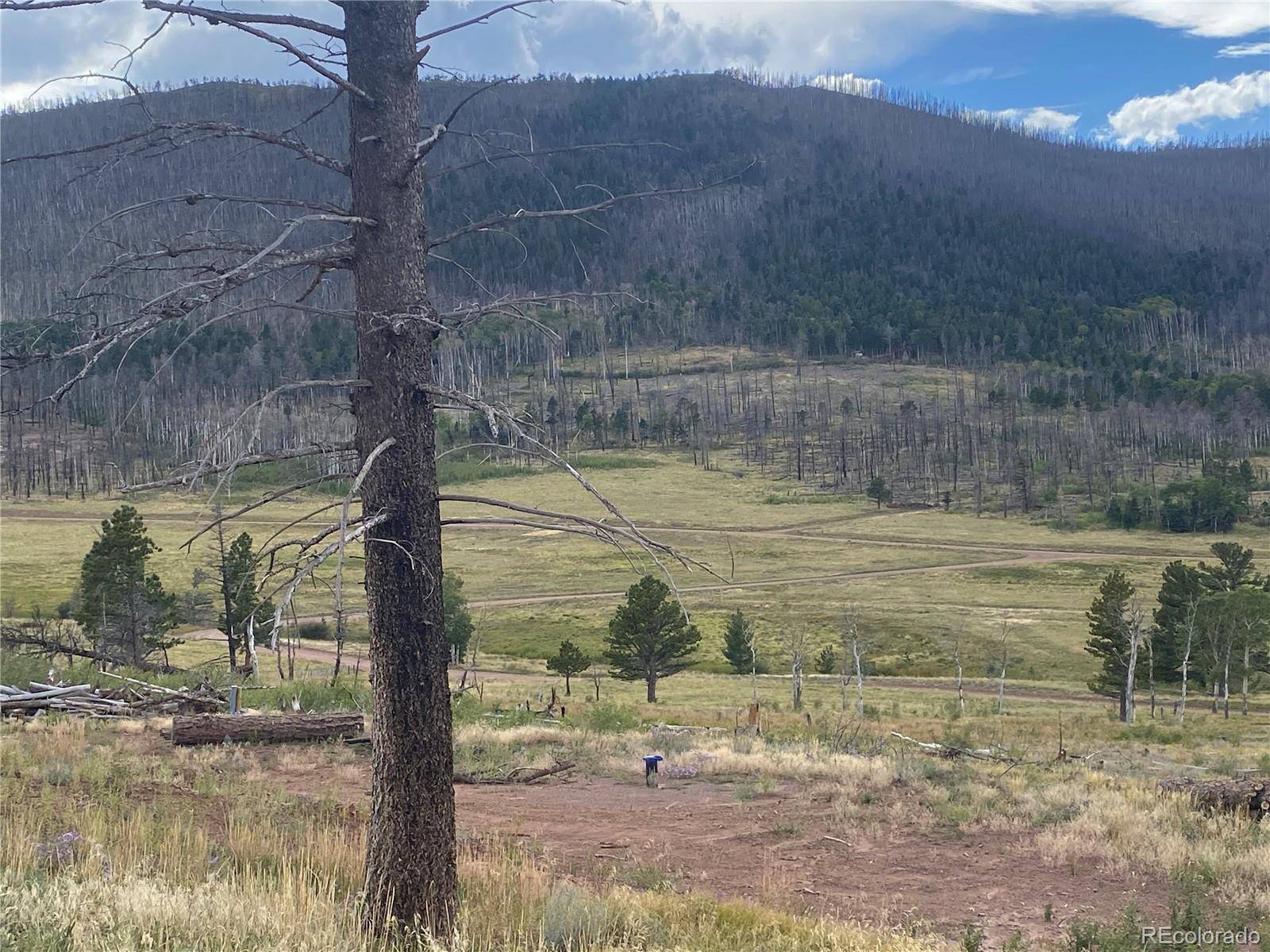 Fort Garland, CO 81133,465 Mulligan LN