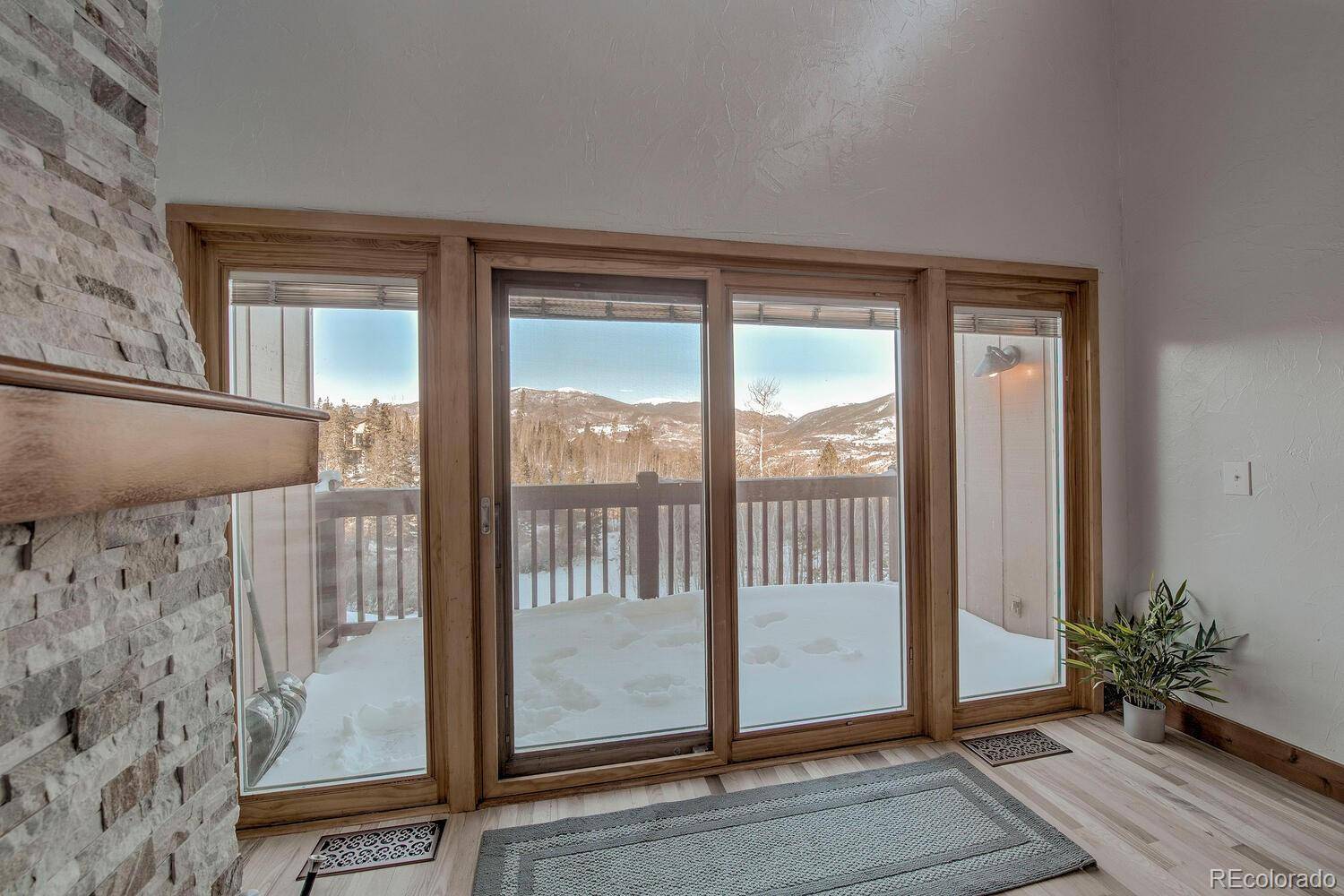 Silverthorne, CO 80498,21 Buffalo DR #215