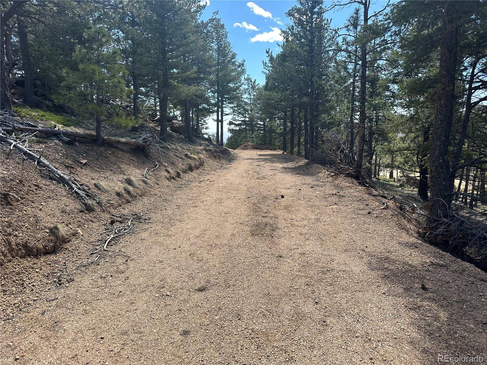 Manitou Springs, CO 80829,339 Eagle Mountain RD