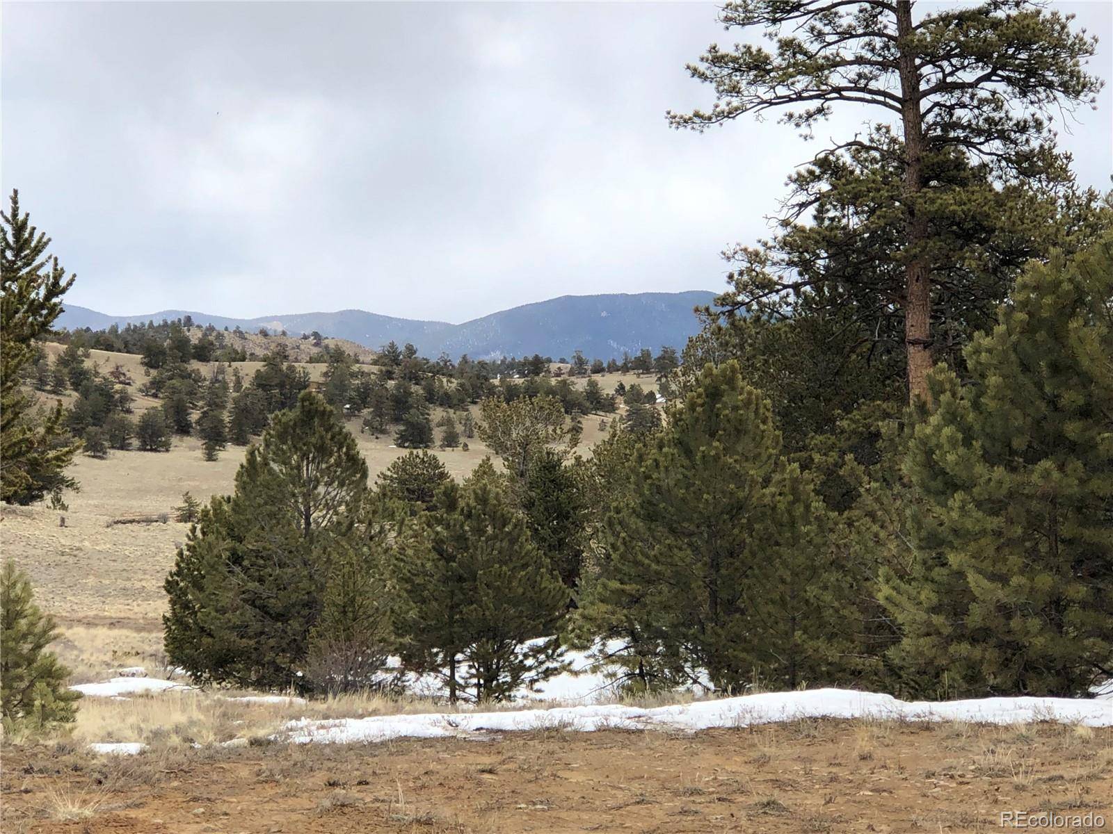 Hartsel, CO 80449,133 Joyce LN