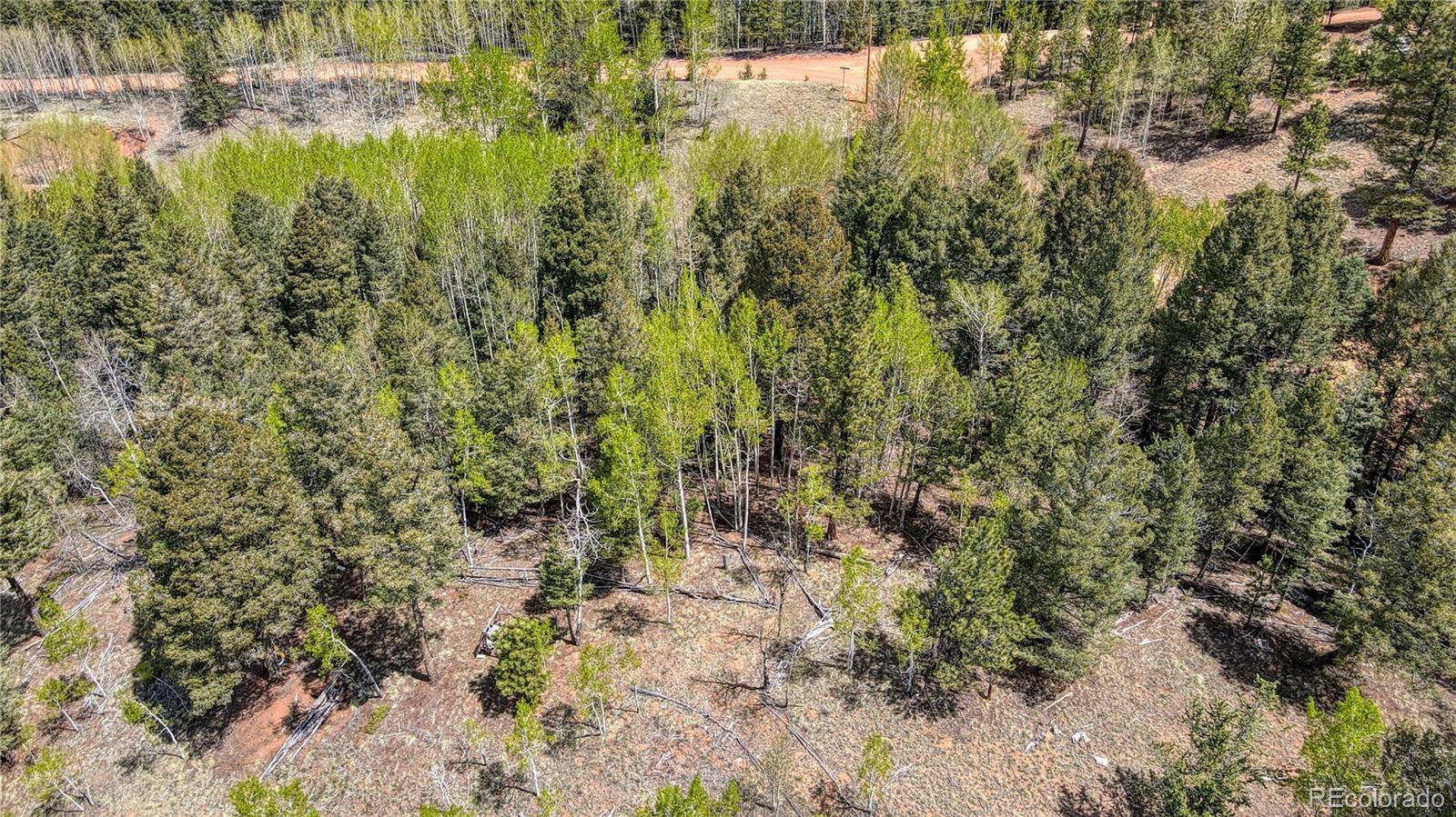 Cripple Creek, CO 80813,1058 Bennett DR