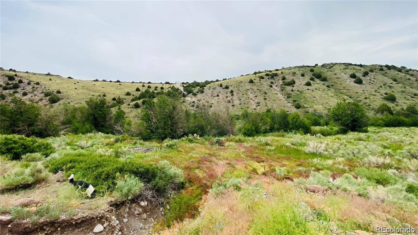 Capulin, CO 81124,Blk 8 Lot 14