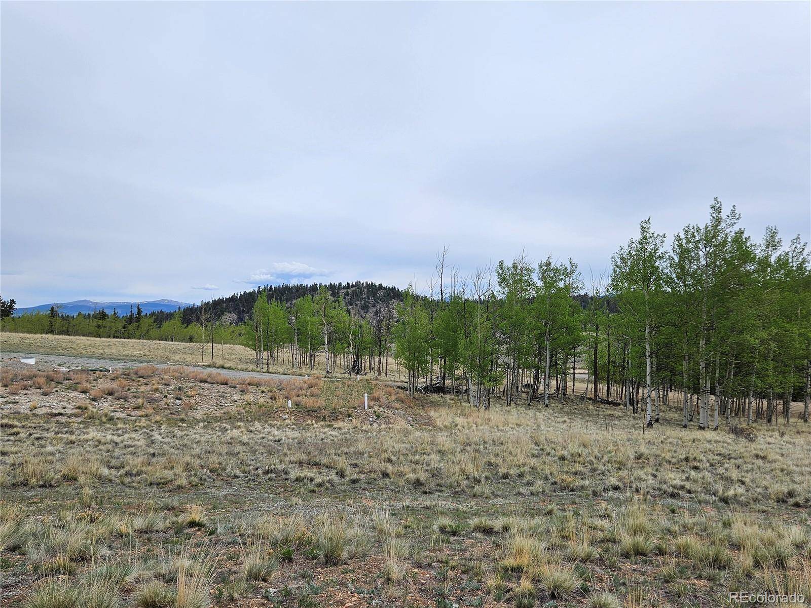 Jefferson, CO 80456,631 Arrowhead DR