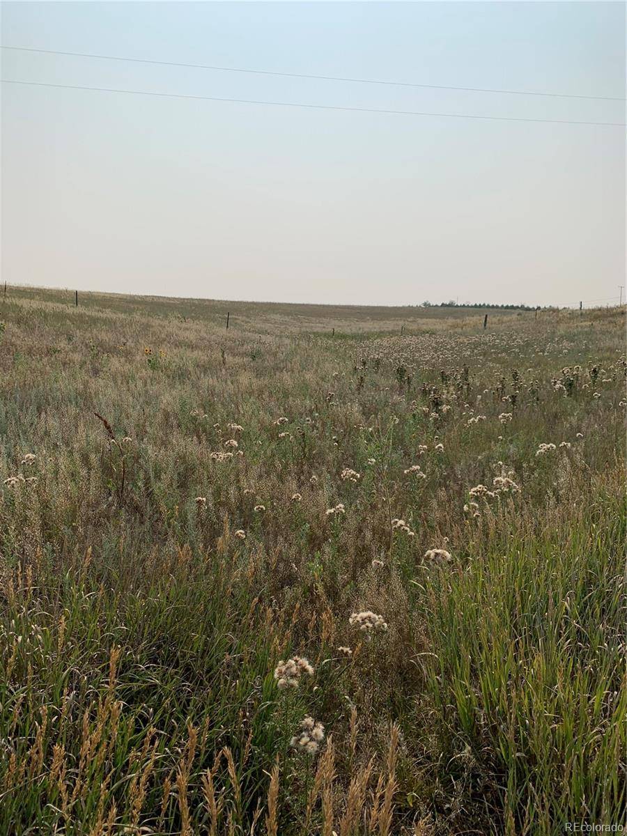 Agate, CO 80101,39115 County Road 166