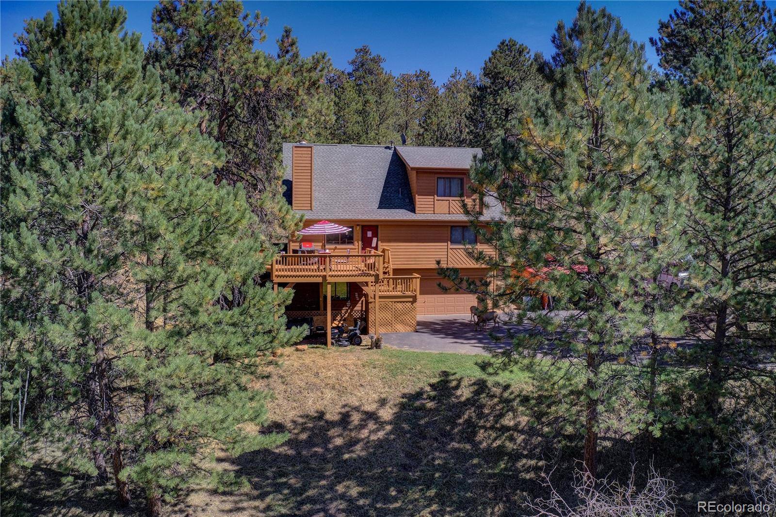 Bailey, CO 80421,33 Grouse LN