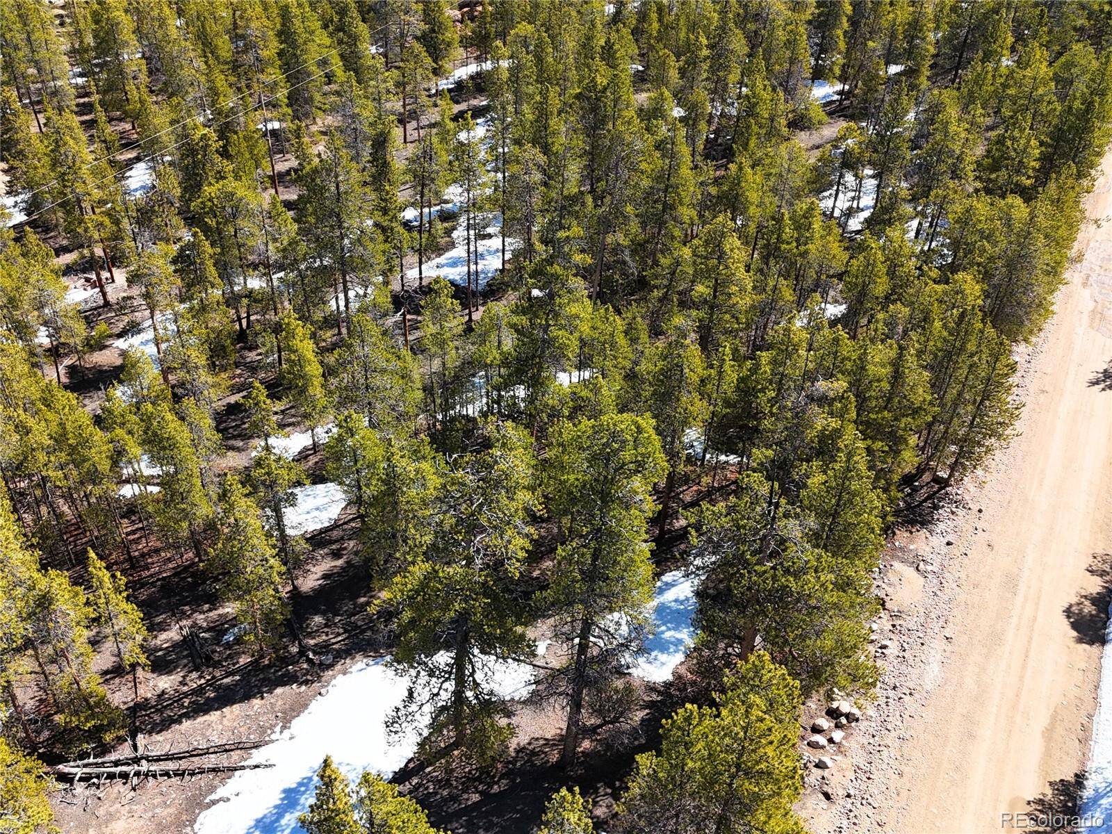 Twin Lakes, CO 80461,1033 Sequoia DR
