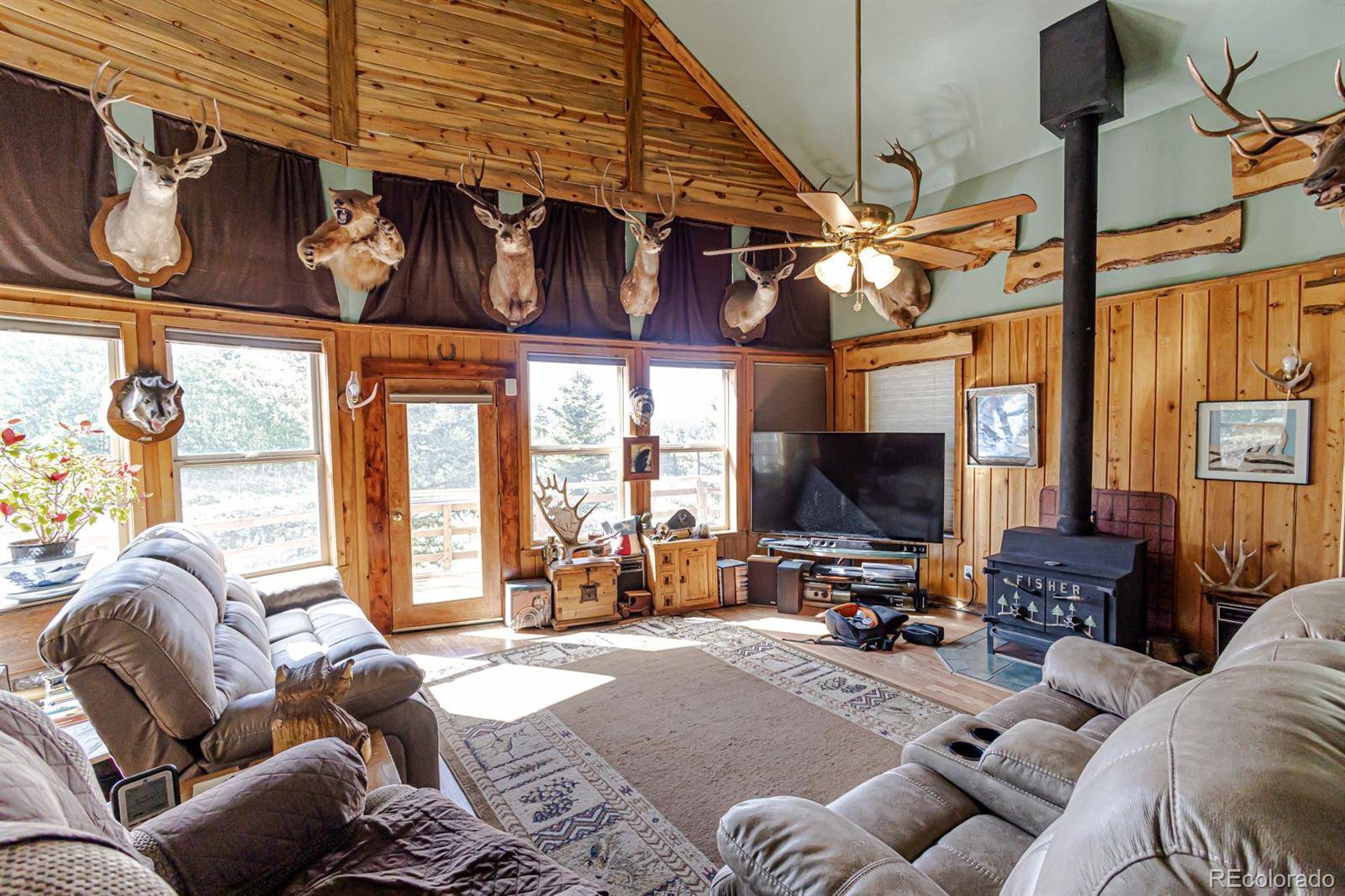 Florissant, CO 80816,124 Bear TRL