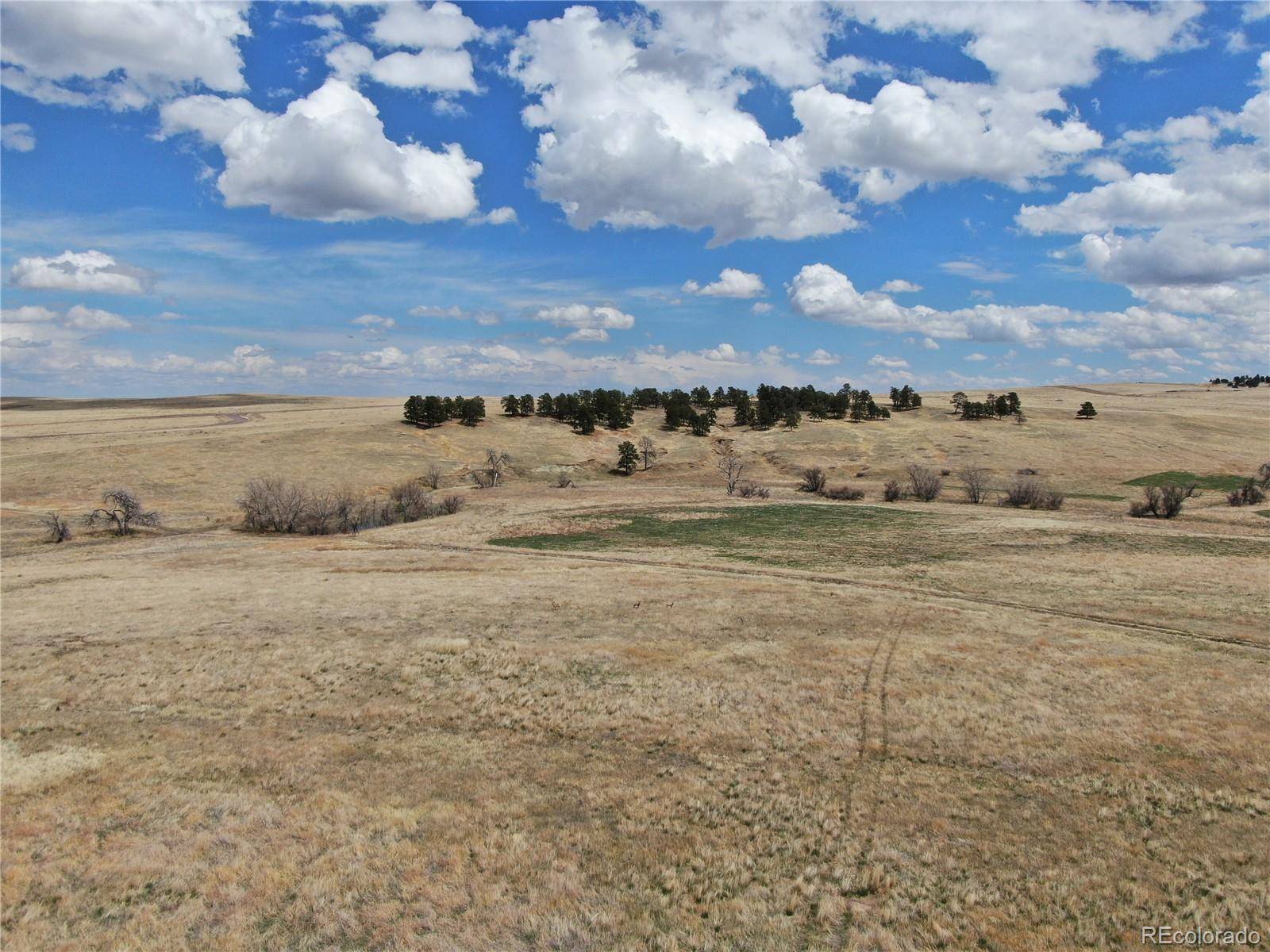 Kiowa, CO 80117,0 LOT 48 Wendling TRL