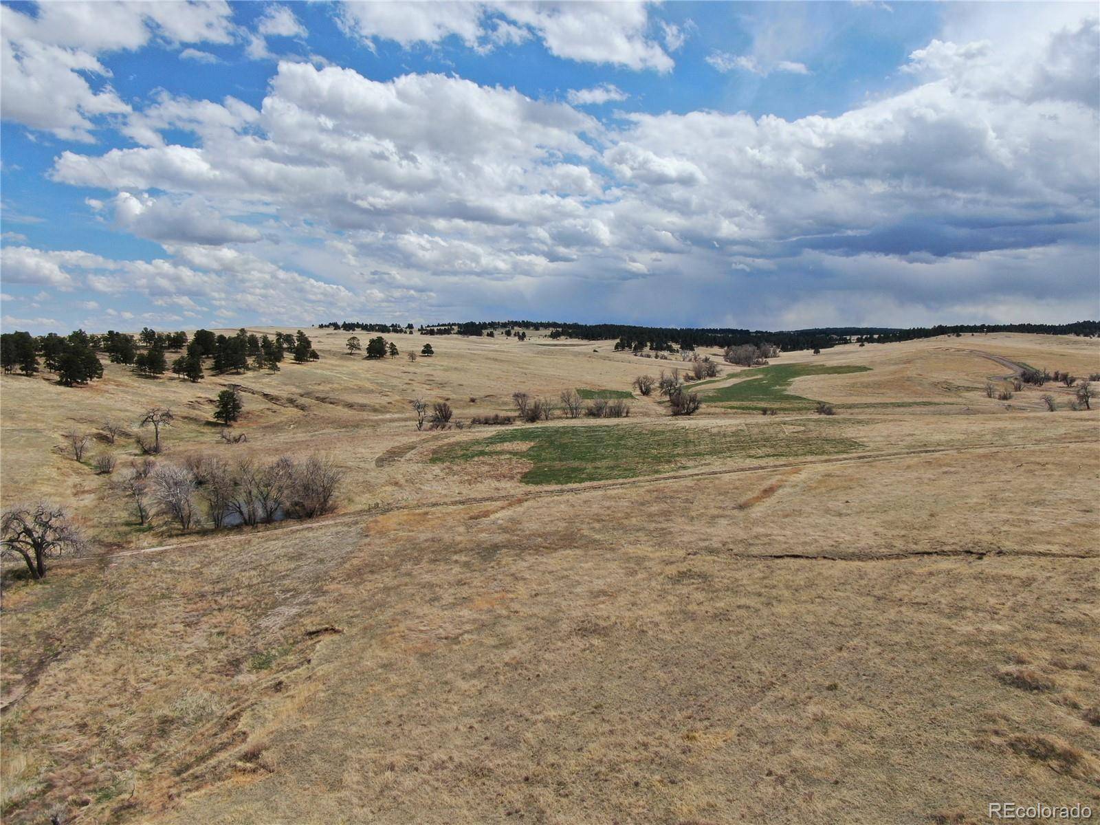 Kiowa, CO 80117,0 LOT 48 Wendling TRL