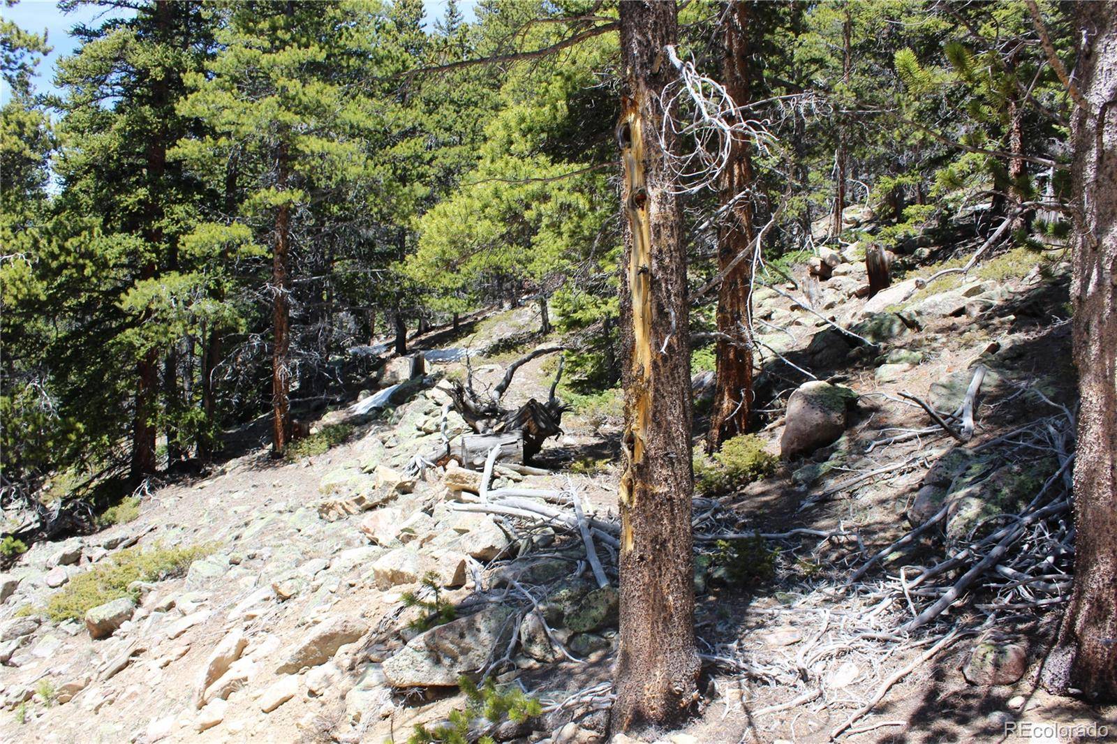 Idaho Springs, CO 80452,Group 7 Lamartine RD