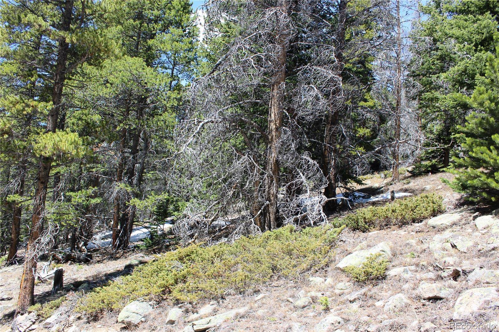 Idaho Springs, CO 80452,Group 7 Lamartine RD