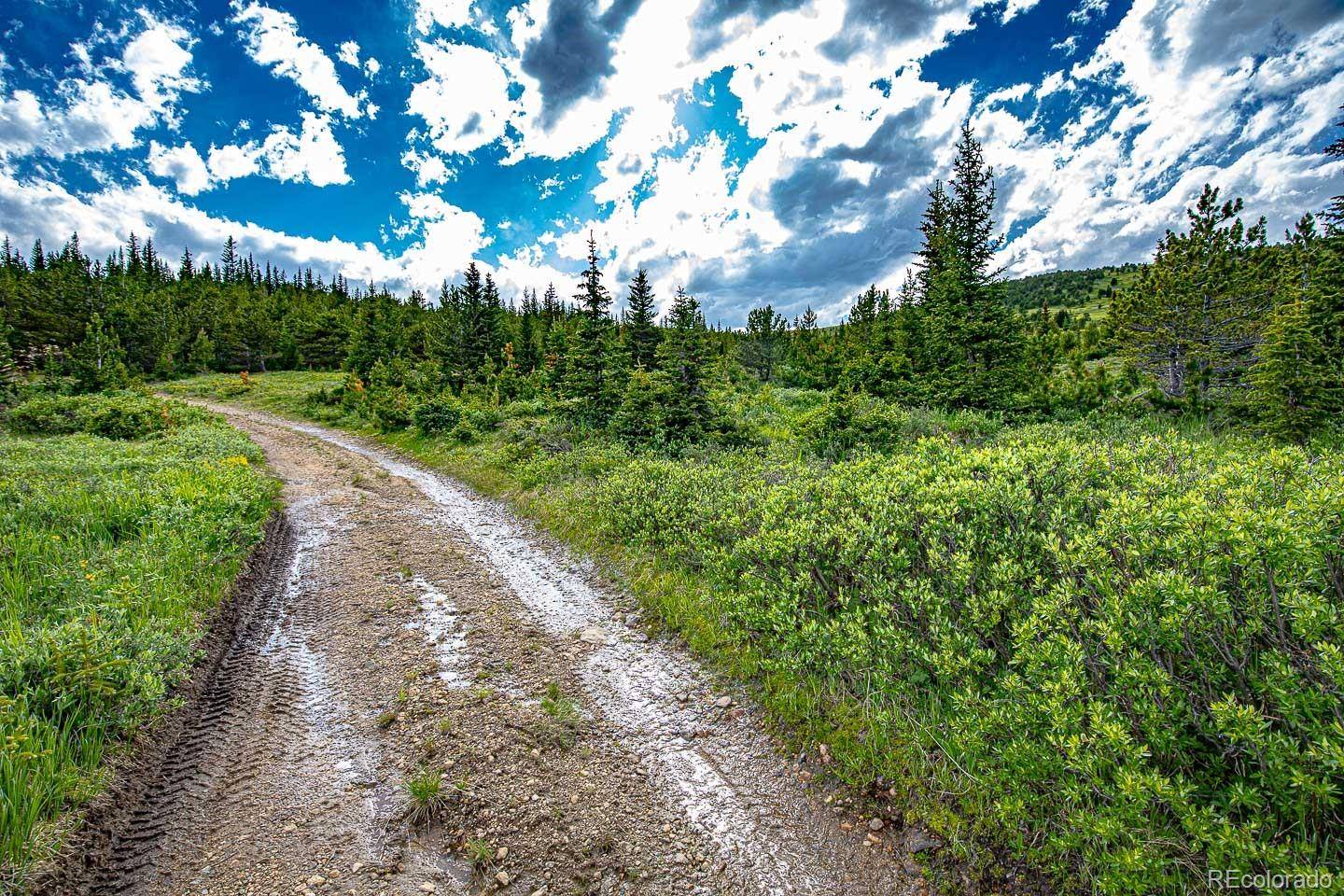 Black Hawk, CO 80422,123 Mosquito Creek RD