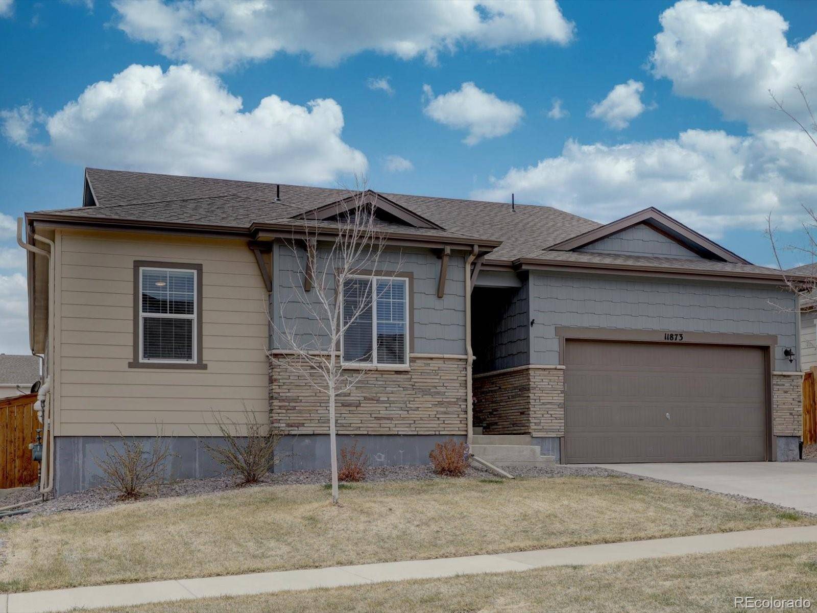 Parker, CO 80134,11873 Dodworth ST