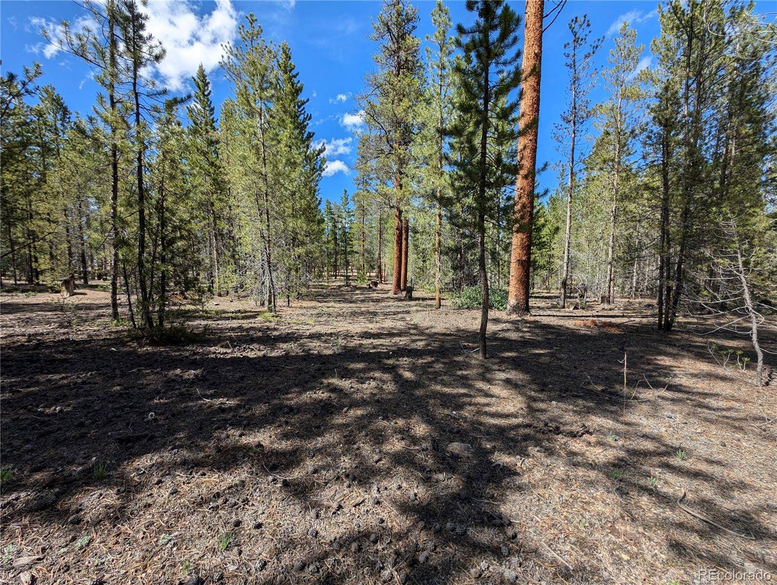 Twin Lakes, CO 81251,495 Birch DR