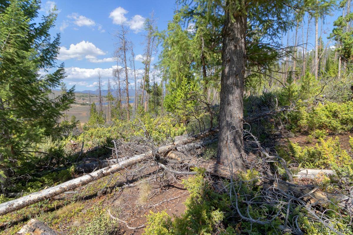 Granby, CO 80446,0000 GCR 6325