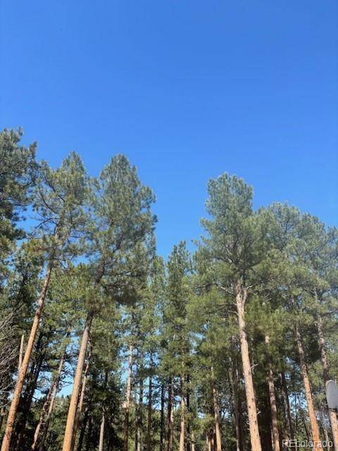 Cripple Creek, CO 80813,560 Princess RD