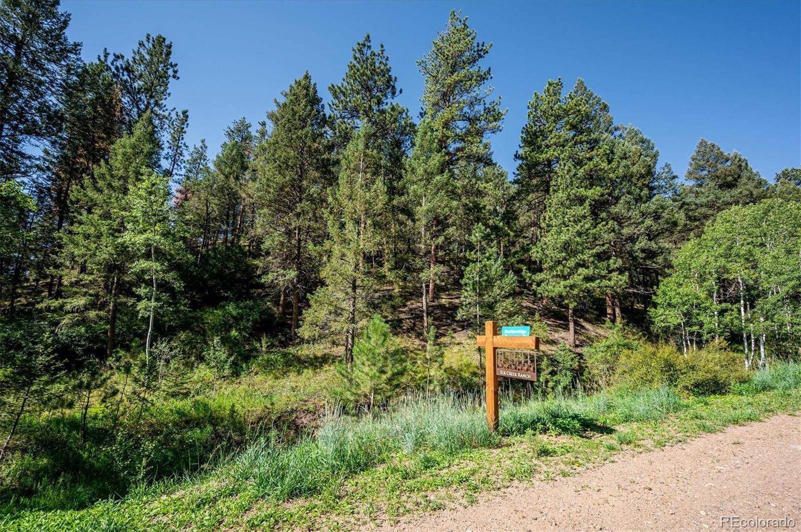 Pine, CO 80470,14433 Lot 11 Elk Creek RD