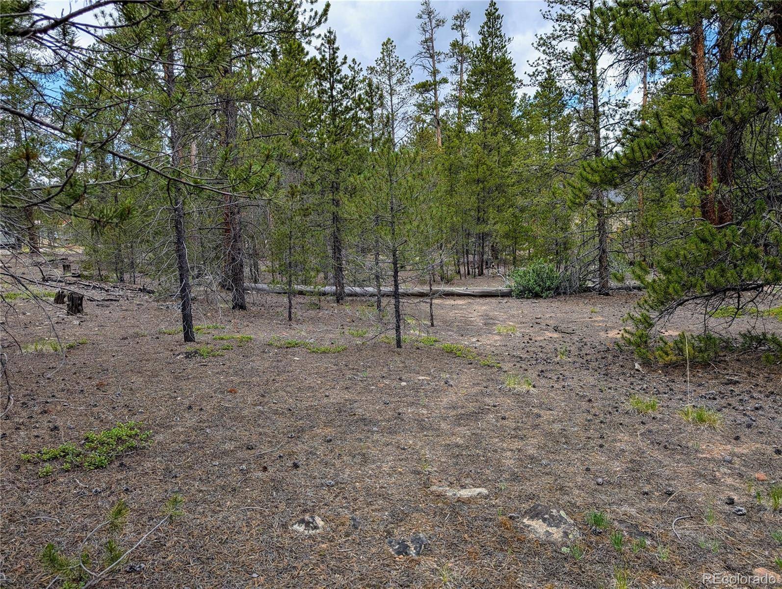 Twin Lakes, CO 81251,437 Juniper DR