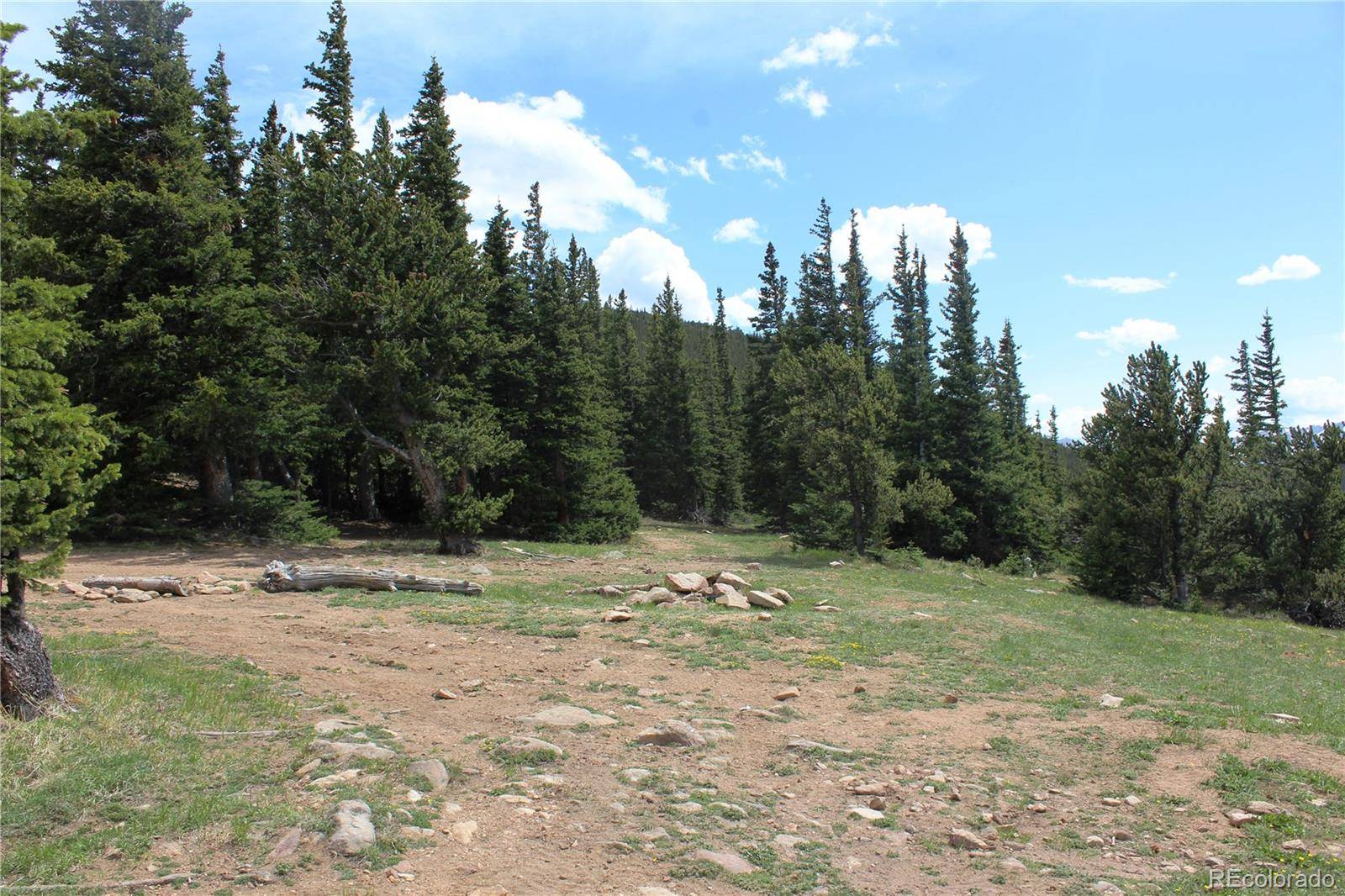 Idaho Springs, CO 80452,Group 14 Lamartine RD