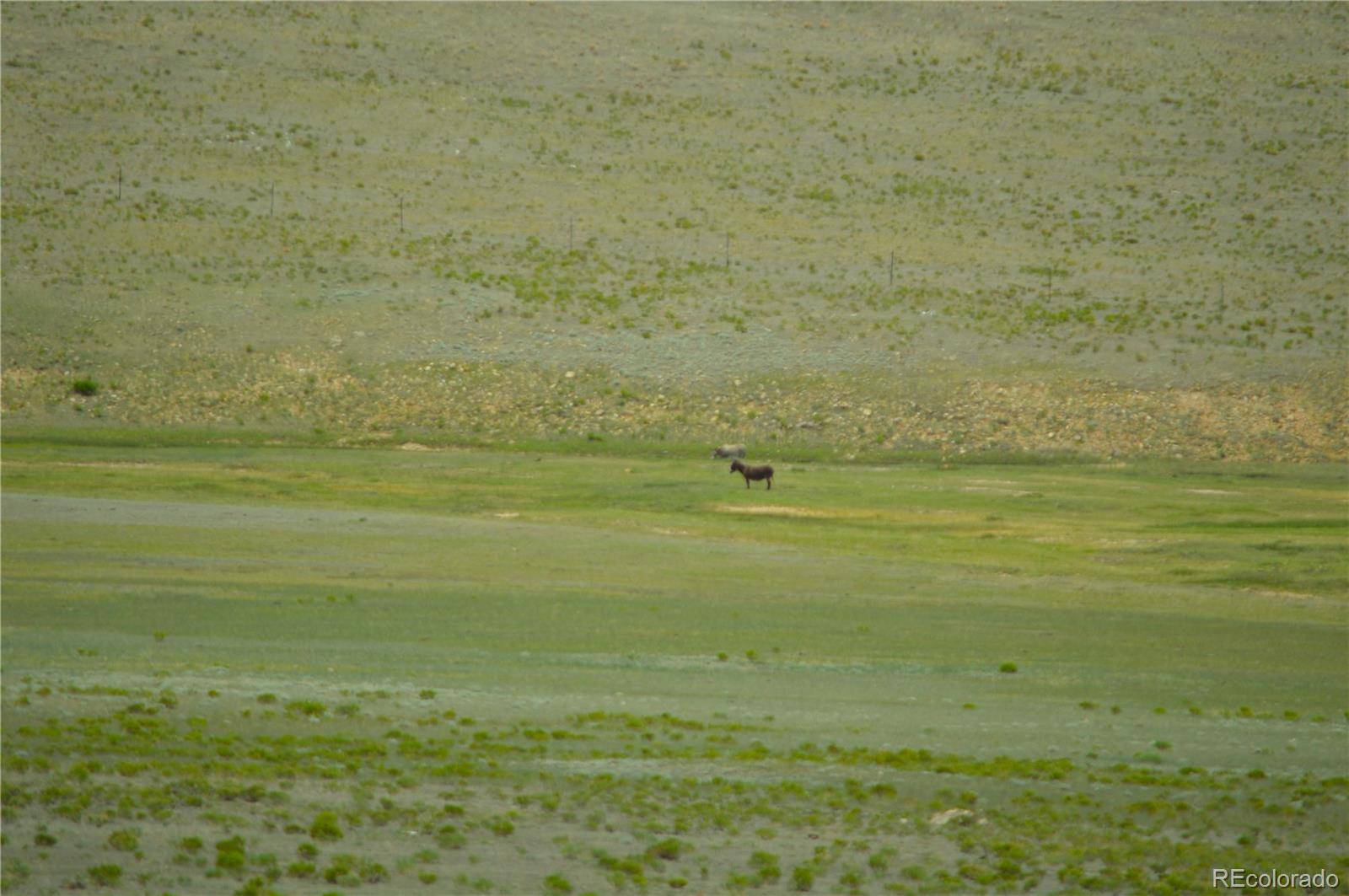 Lake George, CO 80827,1191 Lakeview RD