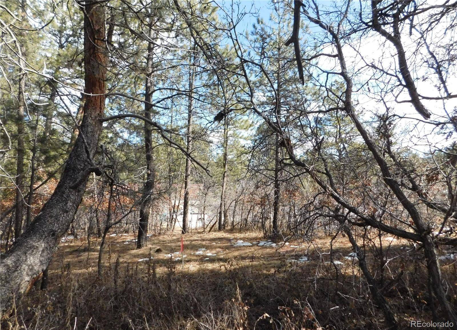 Larkspur, CO 80118,1025 Tenderfoot DR