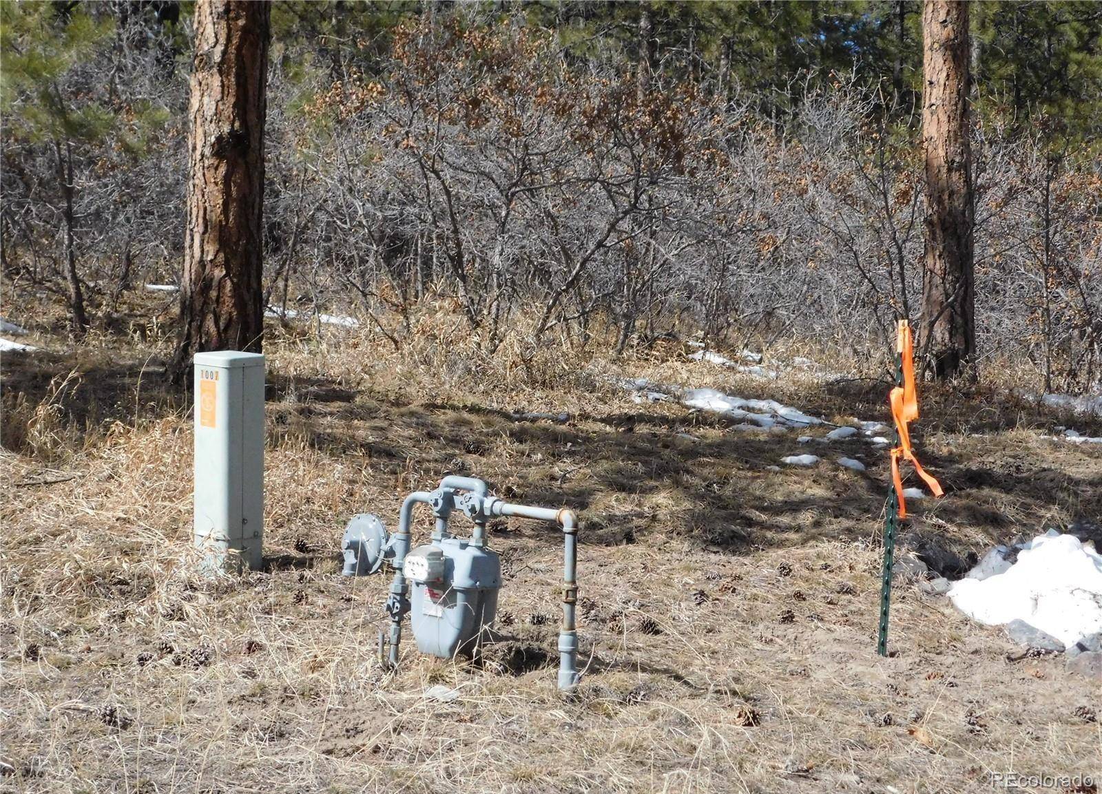 Larkspur, CO 80118,1025 Tenderfoot DR