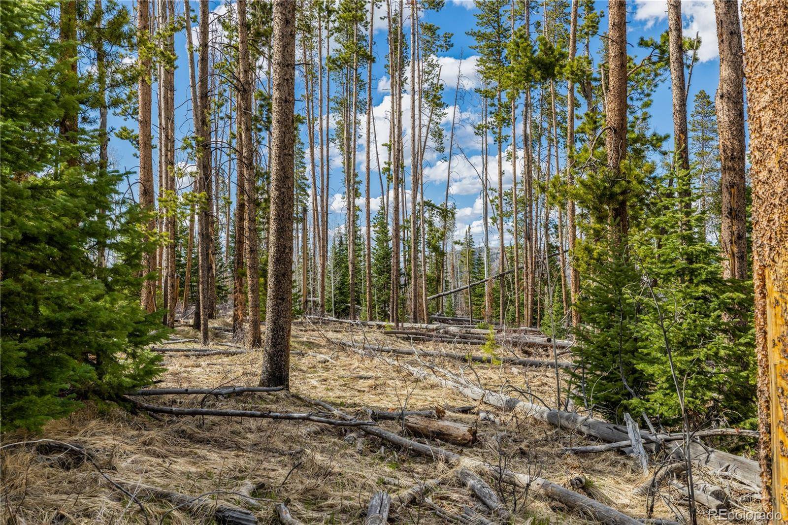 Oak Creek, CO 80467,Lot 98 South Station II
