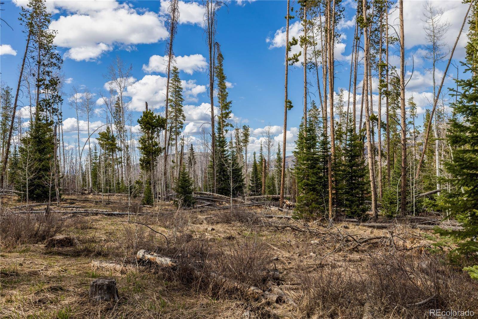 Oak Creek, CO 80467,Lot 98 South Station II