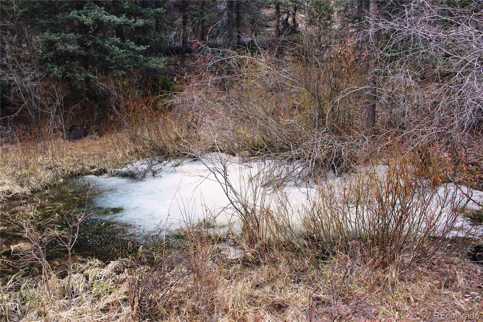 Guffey, CO 80820,1620 Park Ridge DR