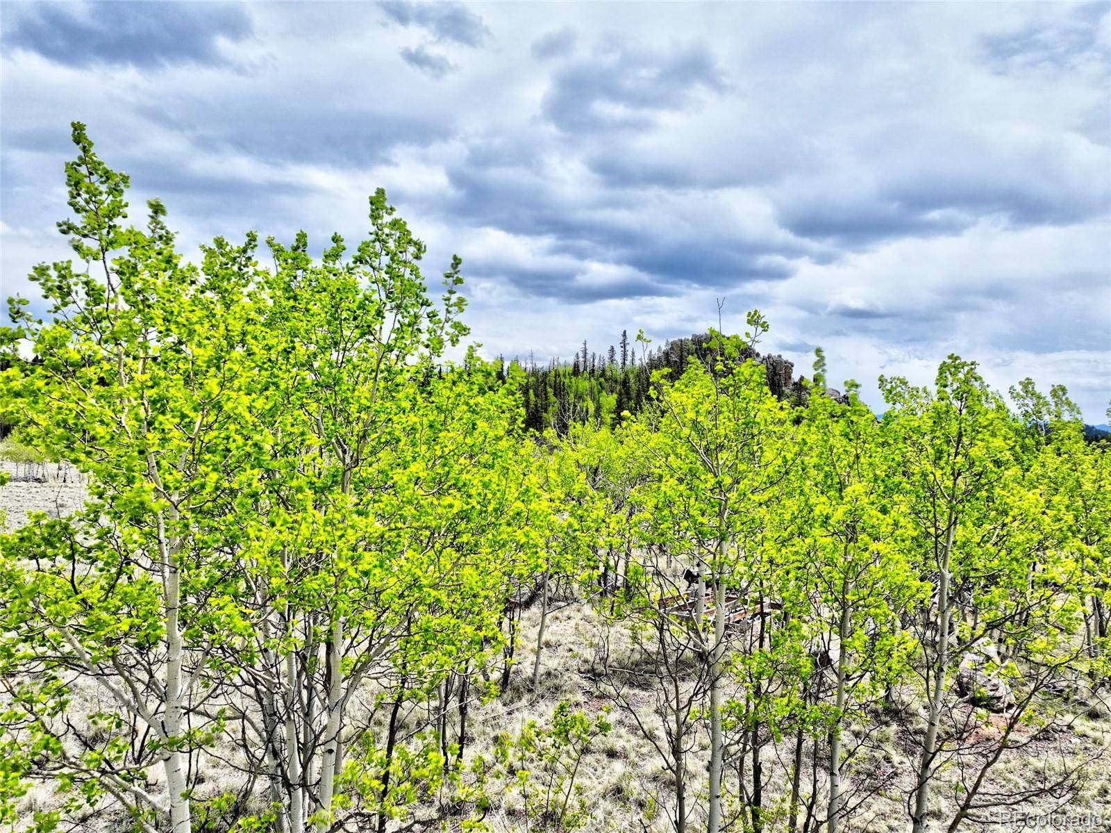 Jefferson, CO 80456,133 Highfill RD