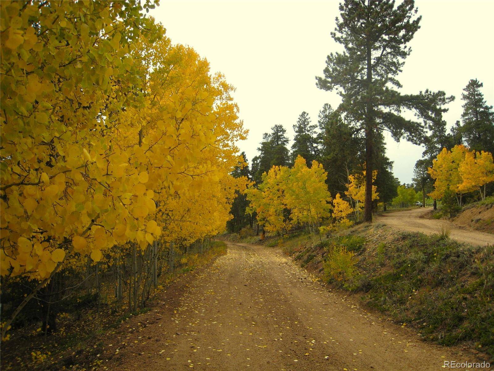 Bailey, CO 80421,429 Road P53