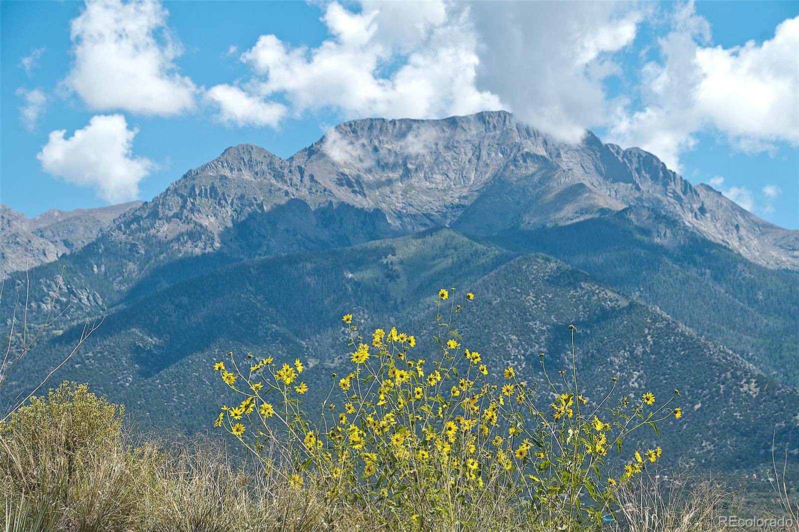 Crestone, CO 81131,863 Spring Beauty TRL