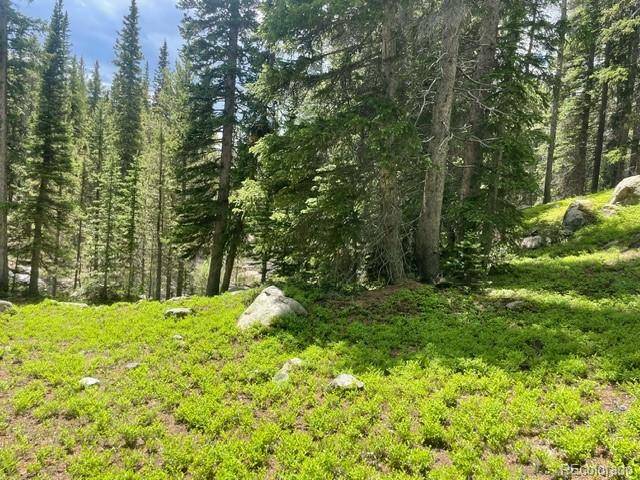 Idaho Springs, CO 80452,000 Lake RD