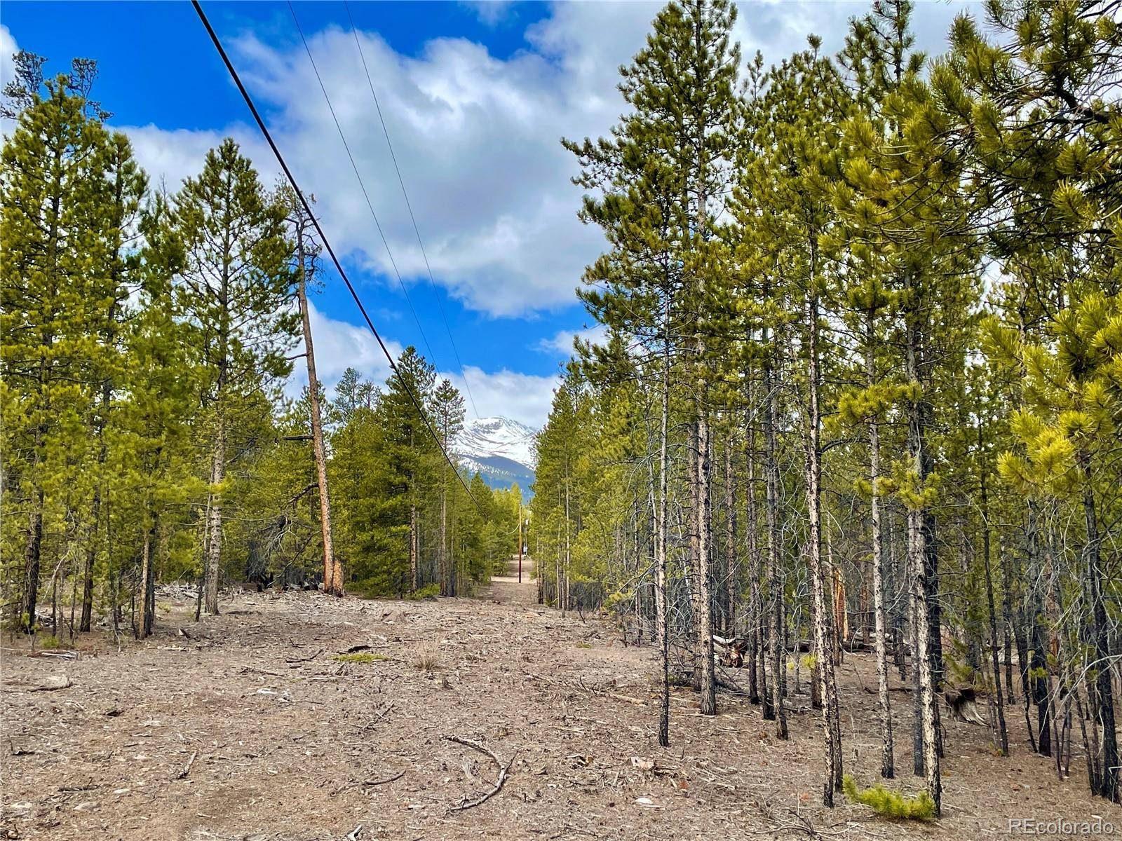 Twin Lakes, CO 81251,160 Hemlock DR