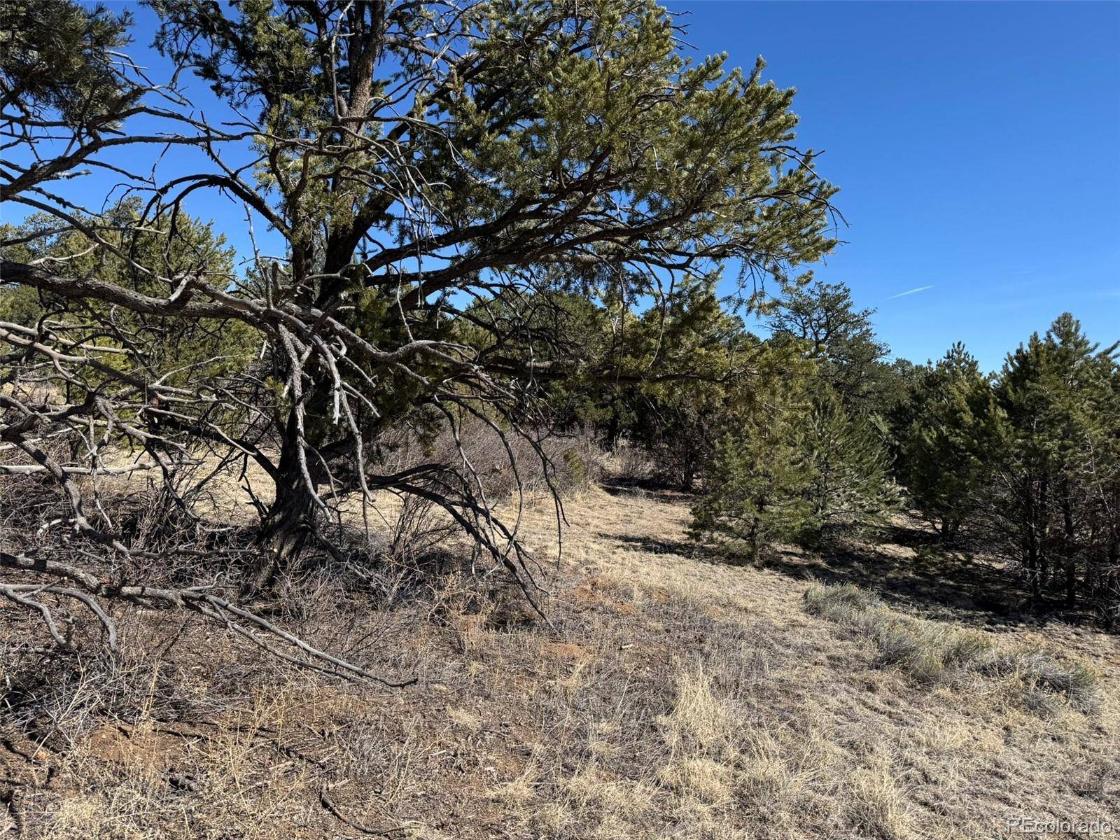 Cotopaxi, CO 81223,TR-118 32nd TRL