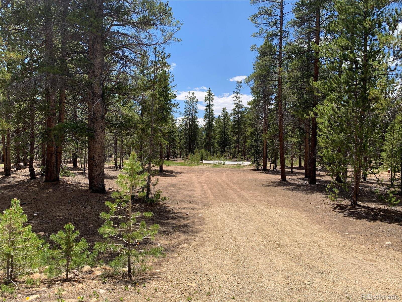 Leadville, CO 80461,501 Mountain Pines CT