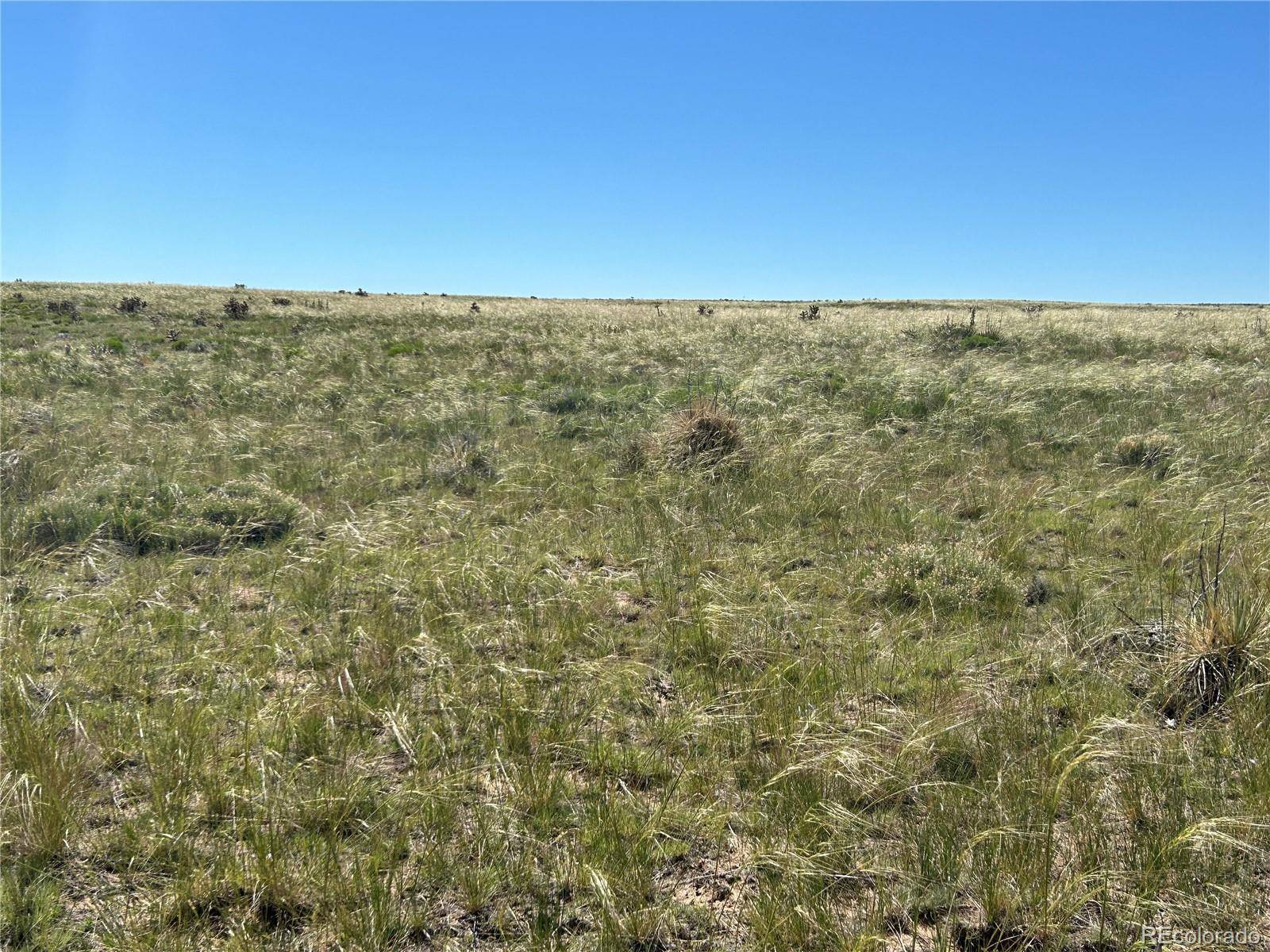 Walsenburg, CO 81089,Lot 284 Black Hills Ranch #2