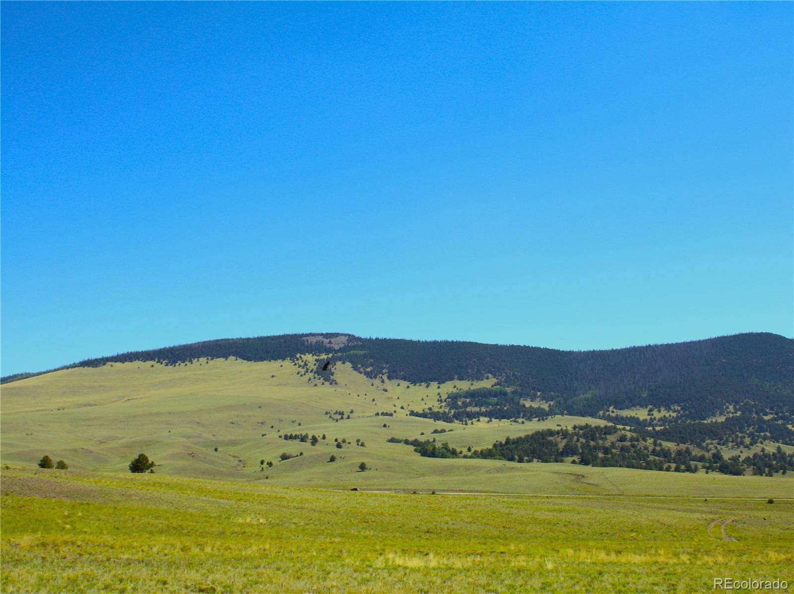 Guffey, CO 80820,Hwy 9