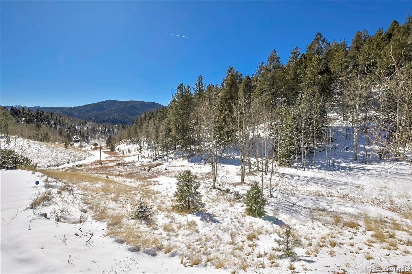 Divide, CO 80814,35 Horseshoe DR