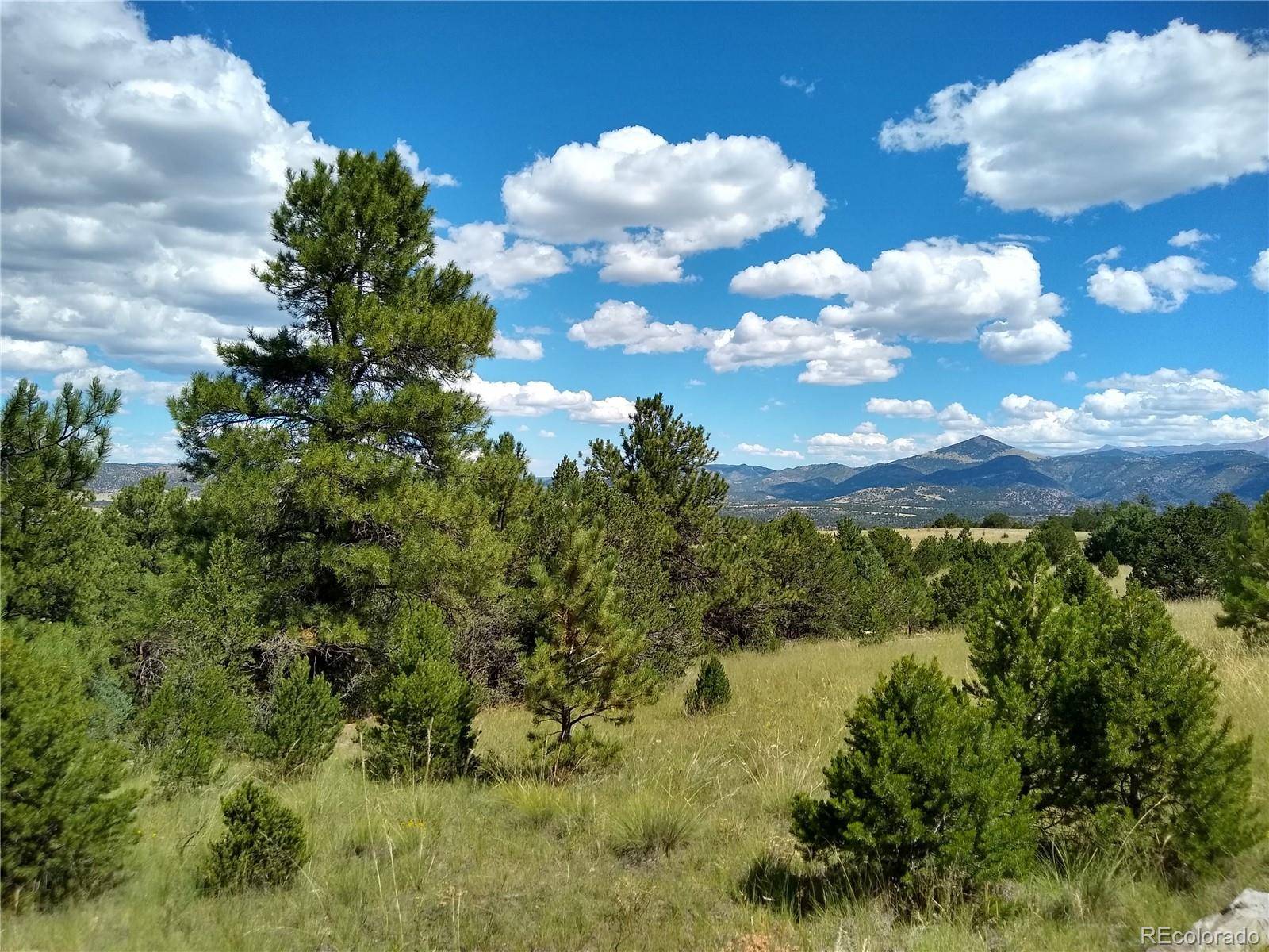 Canon City, CO 81212,0 Blue Grouse TRL