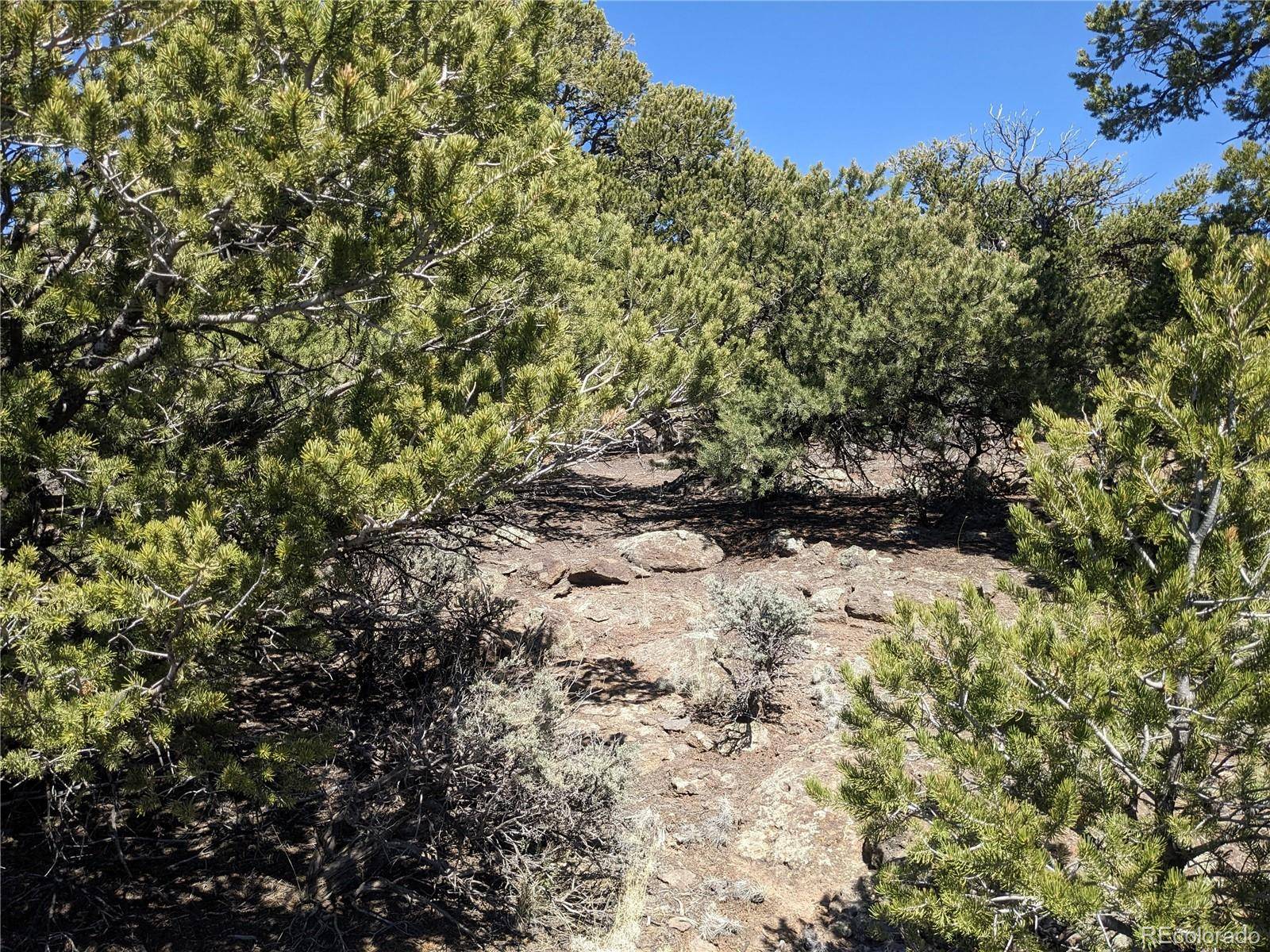 San Luis, CO 81152,000 Palisades CT